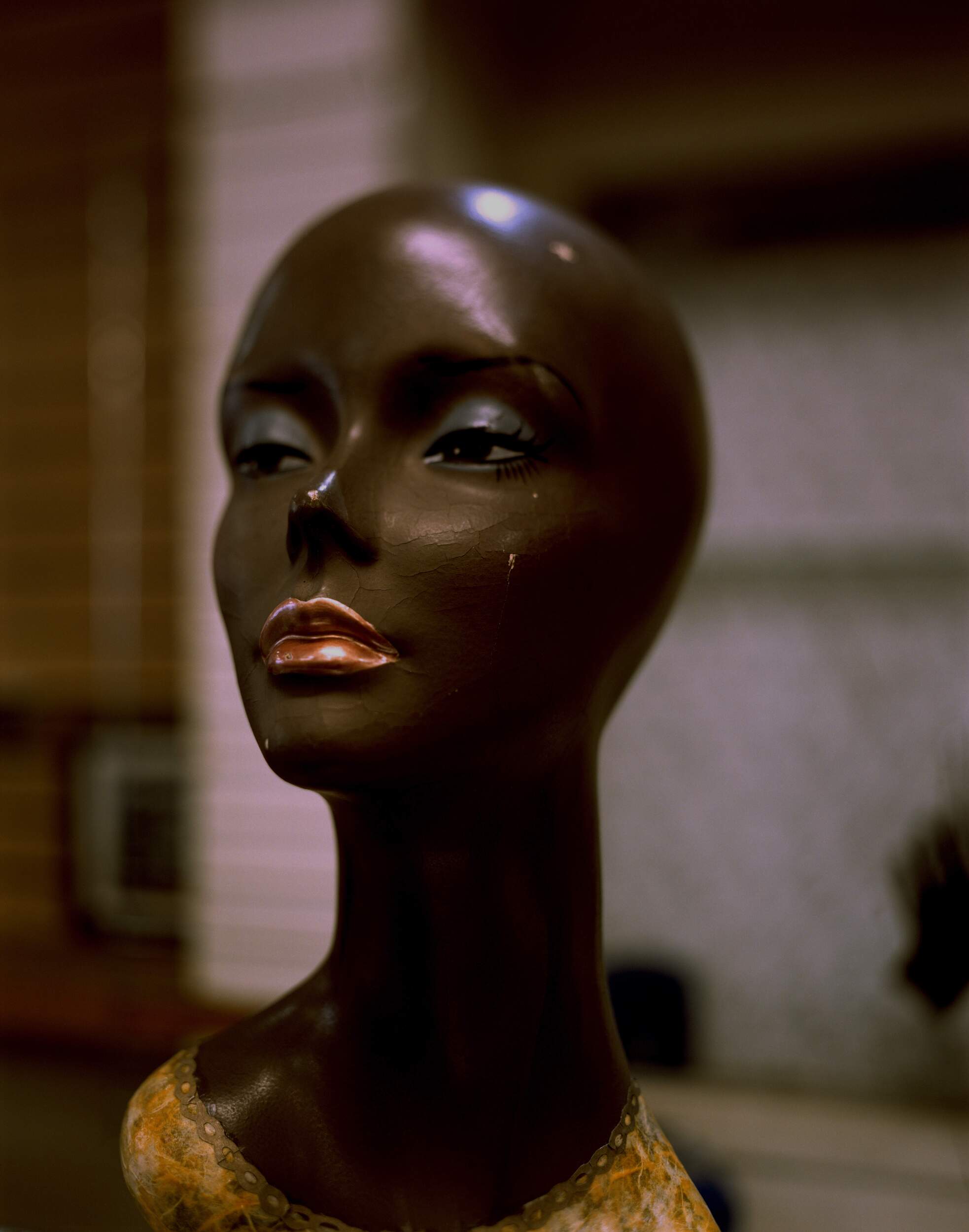 Beauty Plus by Jasmine Ross